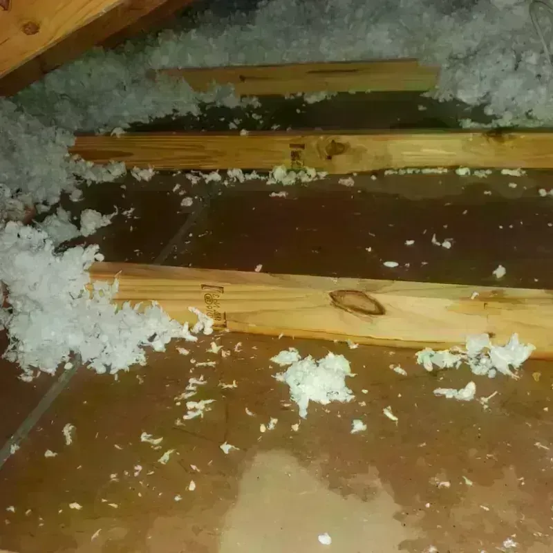 Attic Water Damage in Leesville, LA