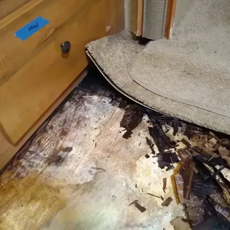 Best Wood Floor Water Damage Service in Leesville, LA